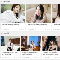 WordPress美图写真图片网站源码 整站源码带数据 全自动采集