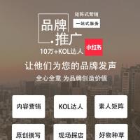 小红书:种草KOL达人KOC品牌全套推广软文评测探店笔记
