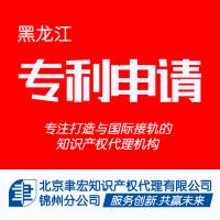 黑龙江专利申请的无效 诉讼 维权 咨询